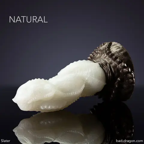 Slater® the Stone Wyvern