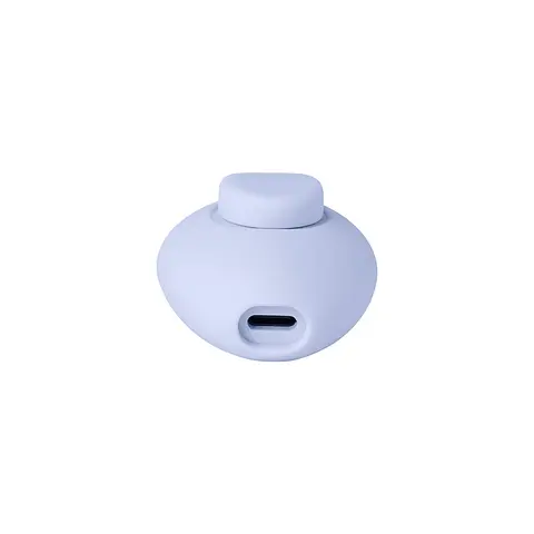 Dame Lay Panty Vibrator with Remote Control