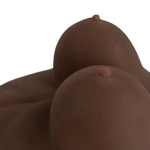Camtoyz Raw Realistic Torso Rupol in Chocolate