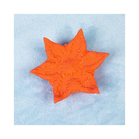 Cute Little Fuckers Starsi in Coral