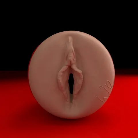 Willow Ryder Ricky's Room Fleshlight