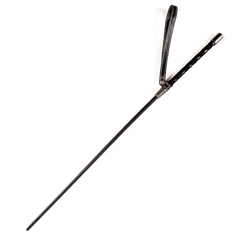 SEI MIO Sharp Reminder Acrylic Cane