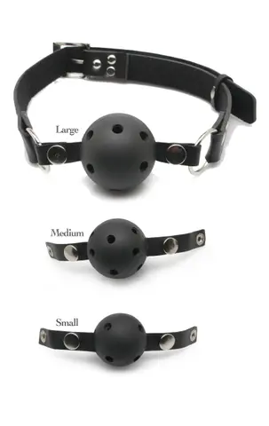 Fetish Fantasy Series - Ball Gag Training System