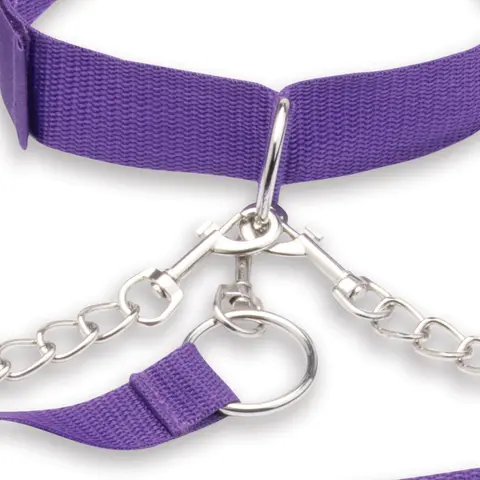 Lux Fetish Collar Cuffs & Leash Set with Removable Cuffs and Leash