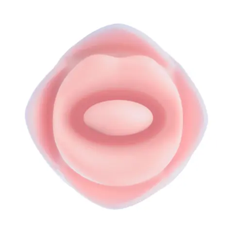 Blush Collection Kissing Rose Pink