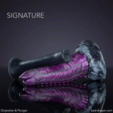 Ovipositor