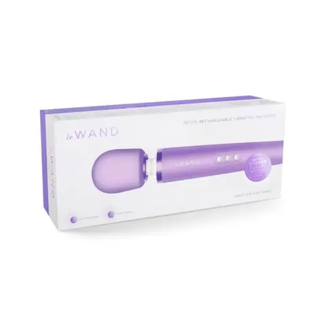 Le Wand Petite Rechargeable Massager in Violet