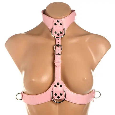 Master Series Vixen Chest Harness in Pink