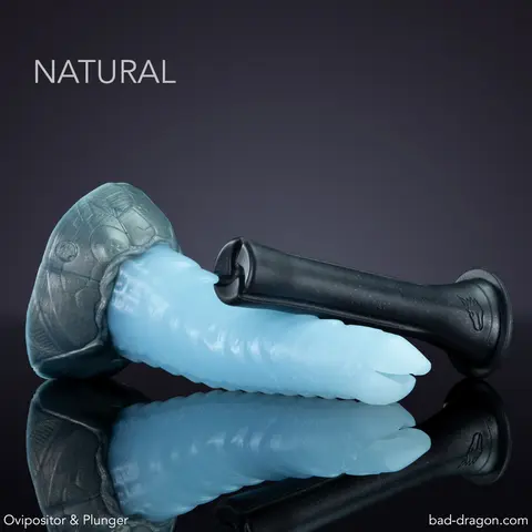 Ovipositor