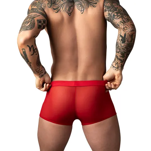 Male Power Mesh 2.0 Mini Short Red L