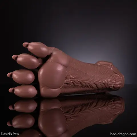 David's Paw®