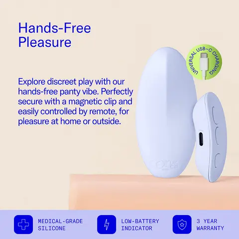 Dame Lay Panty Vibrator with Remote Control