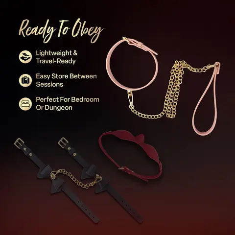 Temptasia Ardor Collar & Leash in Pink