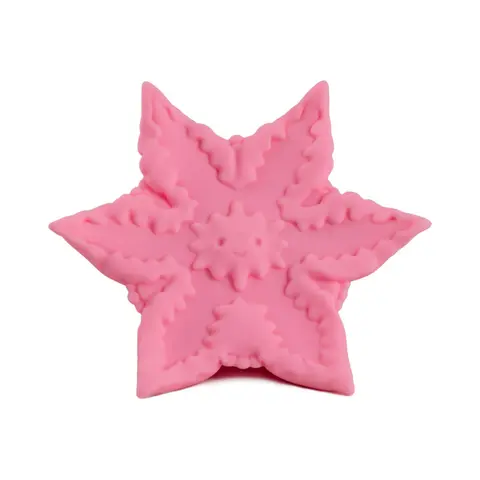 Cute Little Fuckers Starsi in Rose