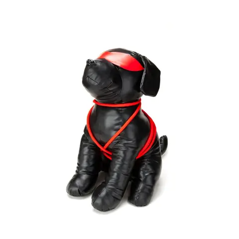 Prowler RED Roped Up Rover L