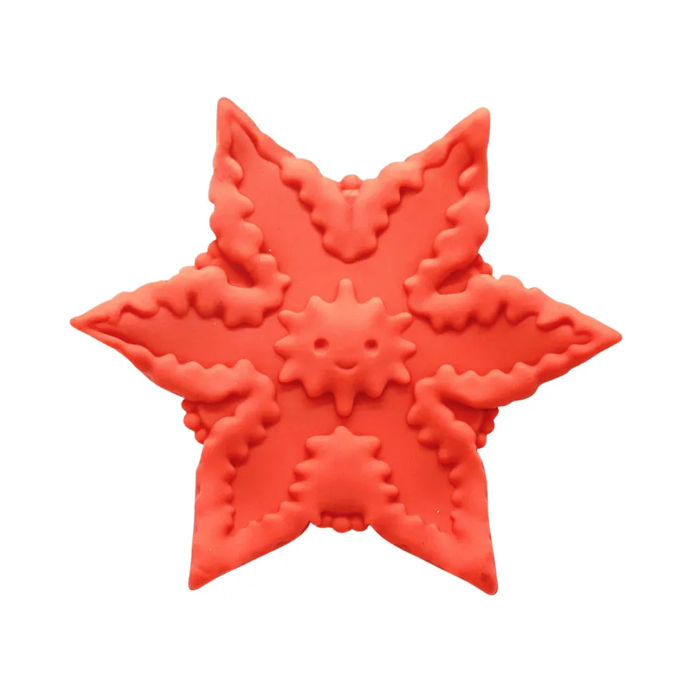 Cute Little Fuckers Starsi in Coral