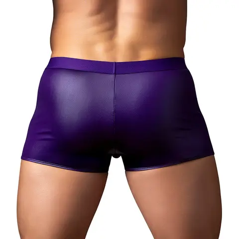 Male Power Eggplant Crossover Short Plum XL
