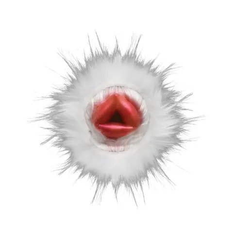 Creature Cocks Snow She-Wolf Silicone Stroker