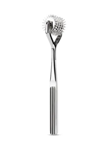 wartenberg pinwheel 5 wheel