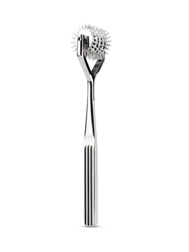 wartenberg pinwheel 5 wheel