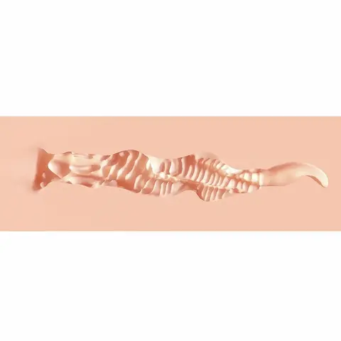 Xkin Pinup Girls Molly Blowtide Stroker Beige