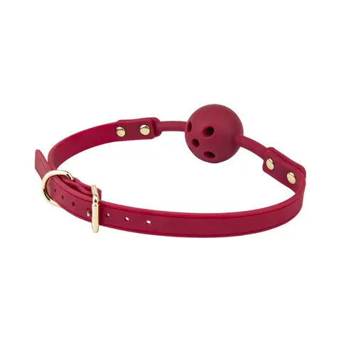Temptasia Ardor Ball Gag in Red