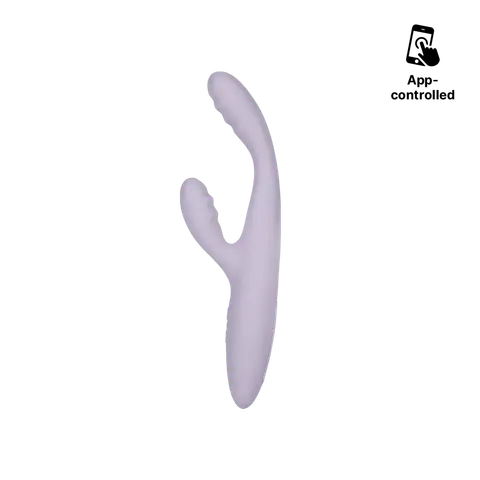 CICI+ 2