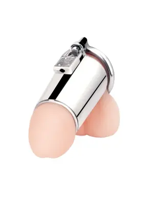ultimate cock tease stainless steel cock cage