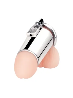 ultimate cock tease stainless steel cock cage