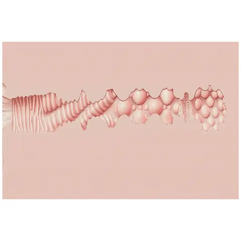 XKIN Body-Forms Stav Stone Ass Vibration + Suction + Voice Masturbator