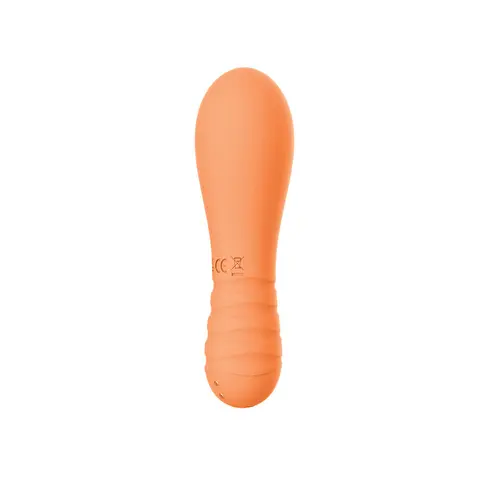 Sorbet Orange Gaze Orange