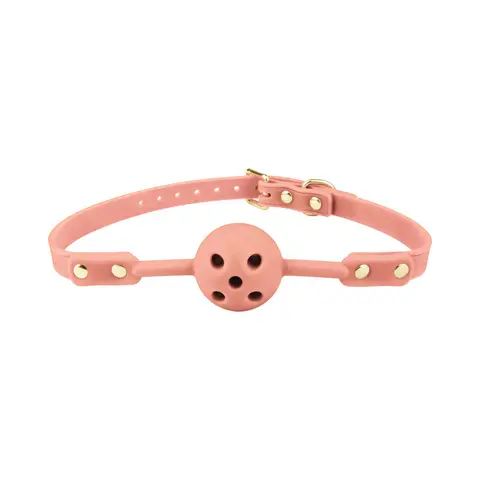 Temptasia Ardor Ball Gag in Pink