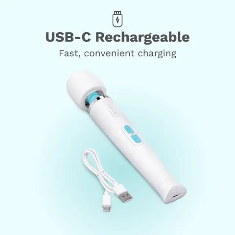 Le Wand Classique Petite Wand Massager