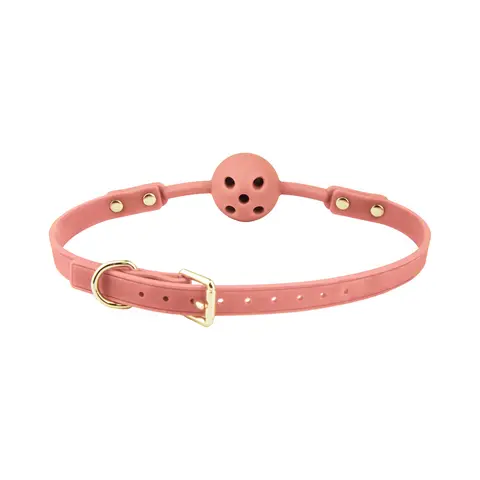 Temptasia Ardor Ball Gag in Pink