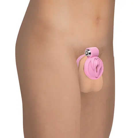 Master Series Vulva Locking Chastity Cage