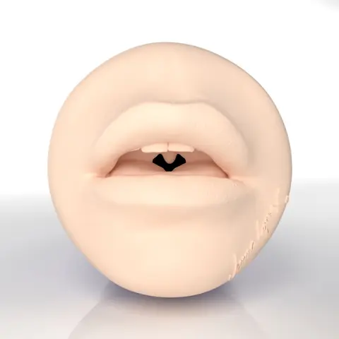 Anna Lynx Fleshlight