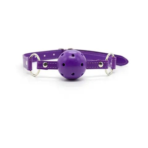 Ple'sur 12-Piece Everything Bondage Kit in Purple