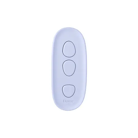 Dame Lay Panty Vibrator with Remote Control