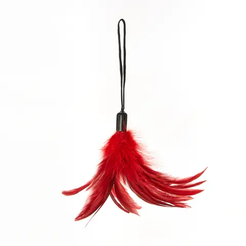 Sportsheets Pleasure Feather Tickler in Red