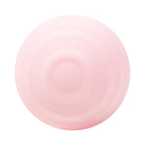 Camtoyz Pro Intense Wand Vibrator with App