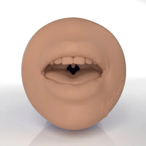 Jenkini Fleshlight
