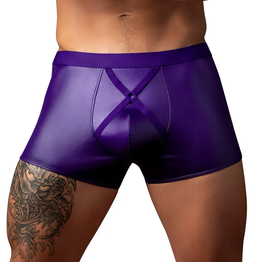 Male Power Eggplant Crossover Short Plum XL