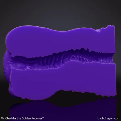 Mr. Cheddar the Golden Receiver™