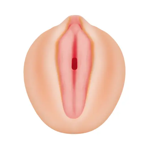 Zero Tolerance Alexis Texas Realistic Vagina Stroker With Movie Download