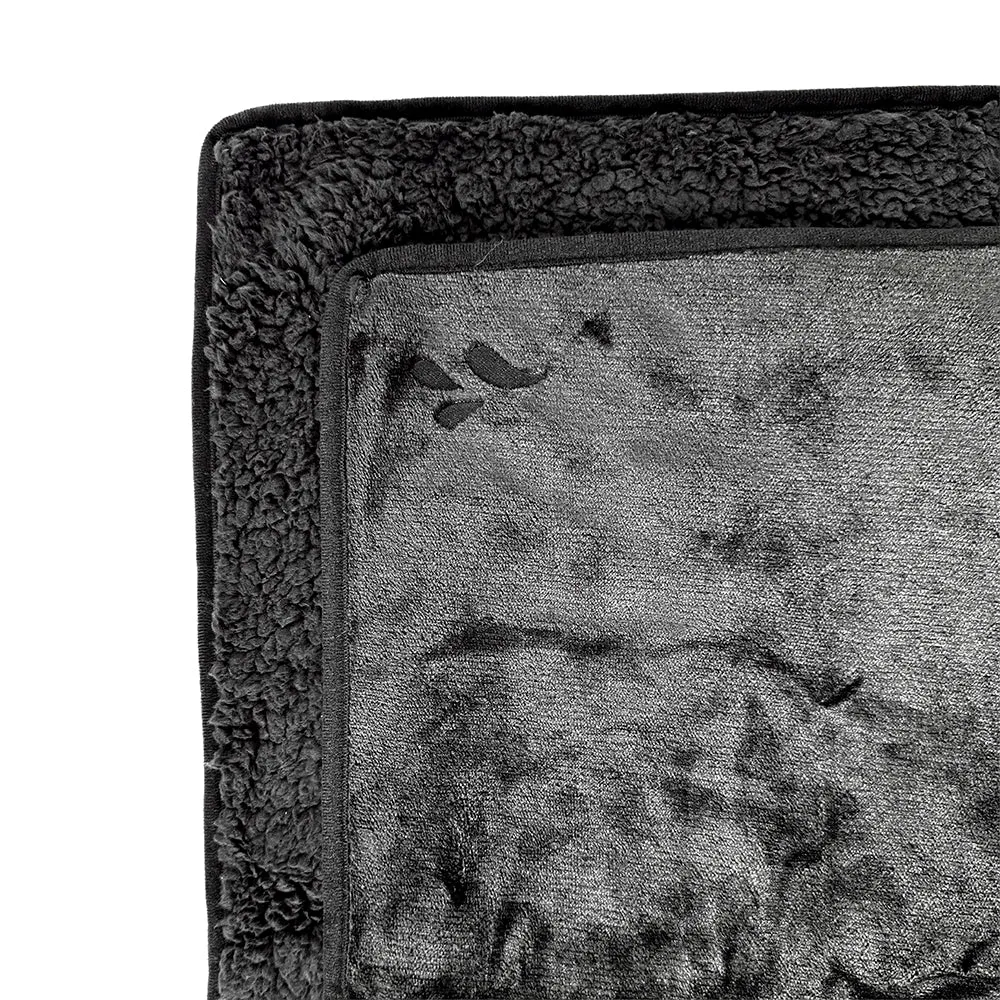Splash Blanket The OG Large Black
