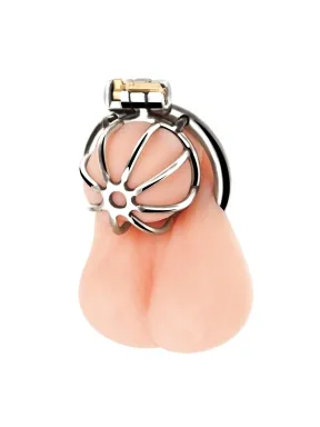 little cock stainless steel chastity cage