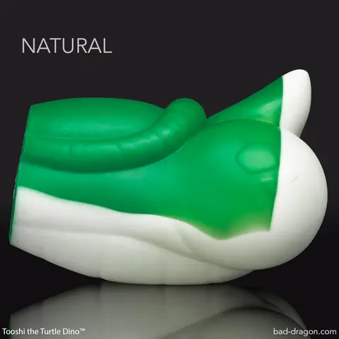 Tooshi the Turtle Dino™
