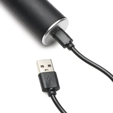 Zeus Electrosex E-Stim Baton