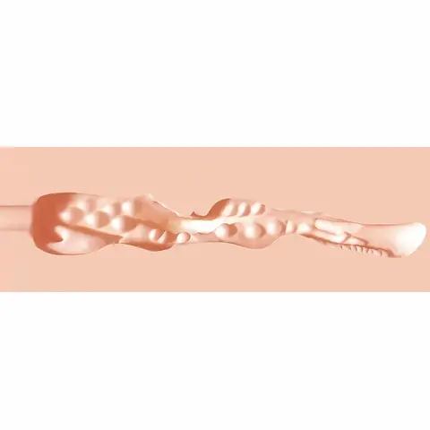Xkin Career Girls Ms Jenny Jawline Stroker Beige