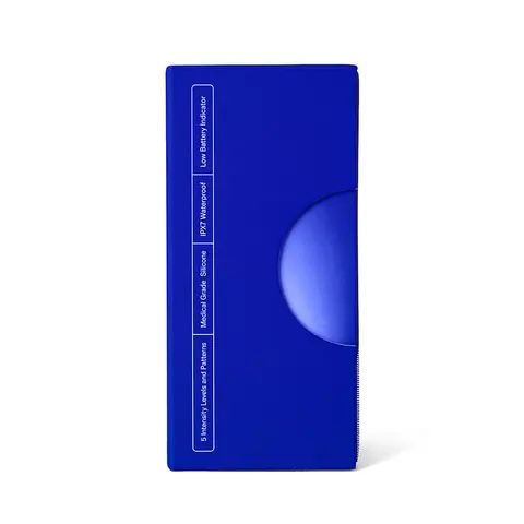 Dame Lay Panty Vibrator with Remote Control